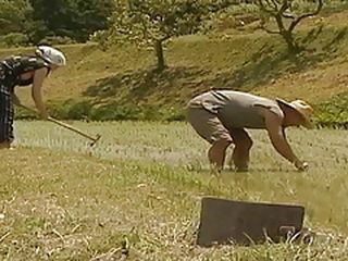 Want to fuck like a Tokyo nippon XXX porn babe